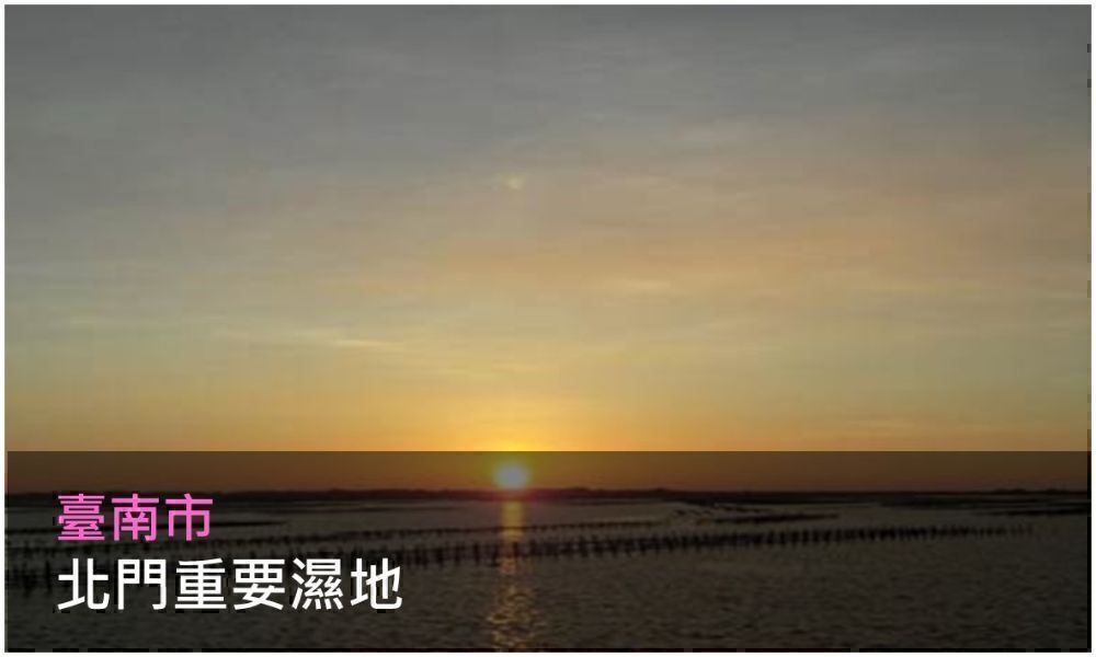 北門重要濕地照片(點選開啟介紹網頁)