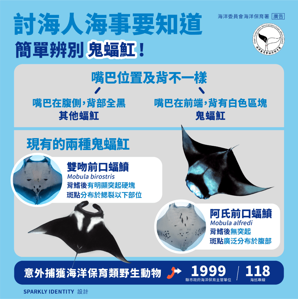 簡單辨別鬼蝠魟