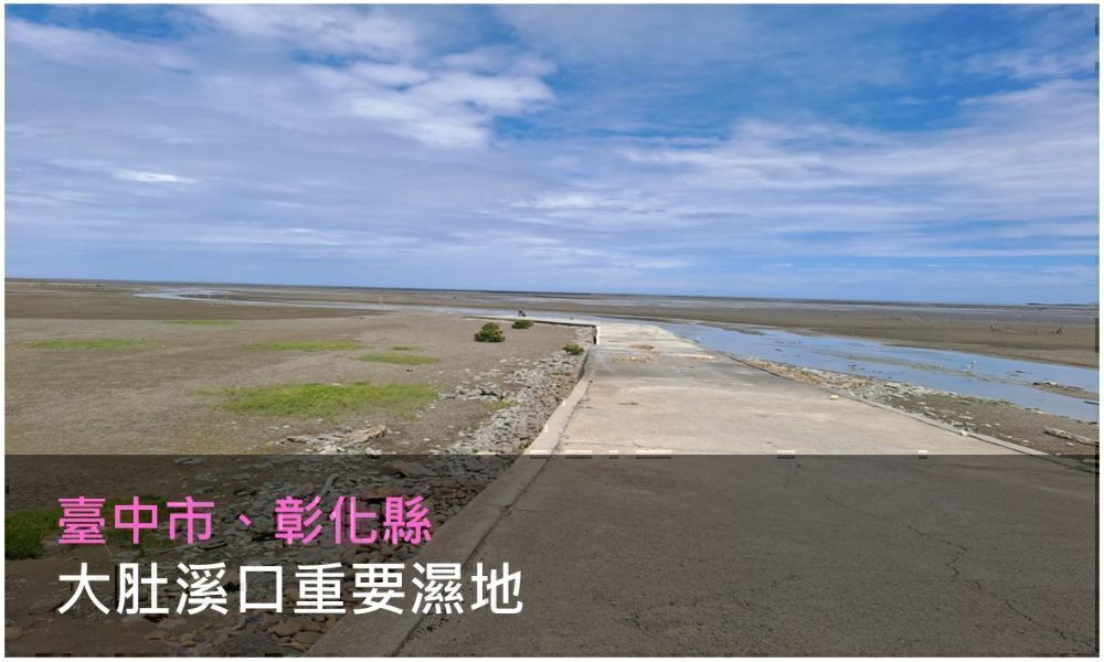 大肚溪口重要濕地照片(點選開啟說明網頁)