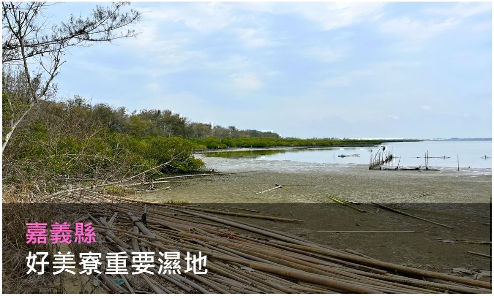 好美寮重要濕地照片(點選開啟說明網頁)