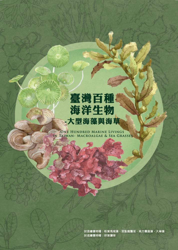 臺灣百種海洋生物-大型海藻與海草設計圖