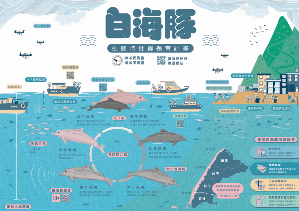 白海豚生態特性與保育計畫海報