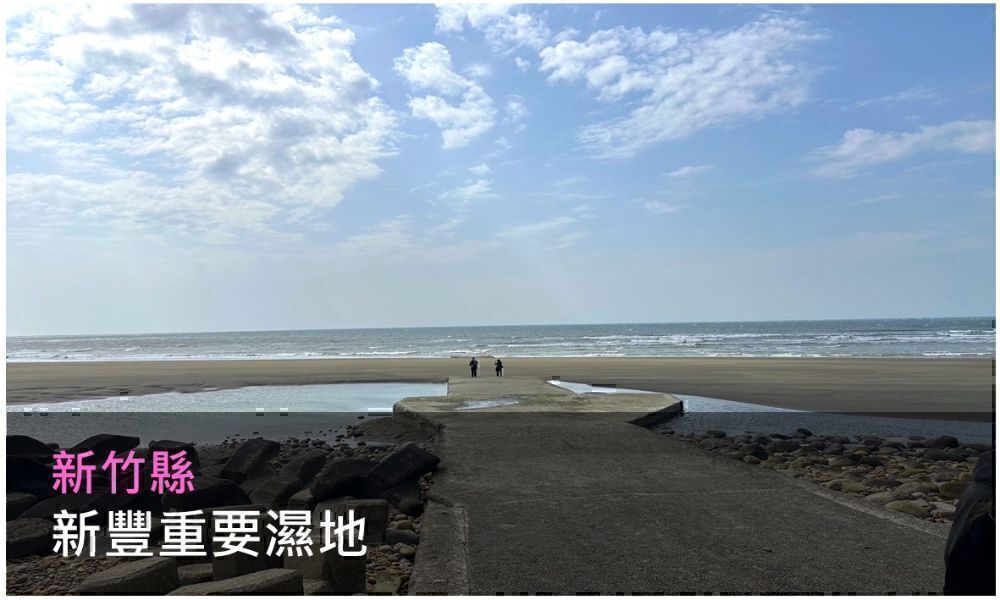 新豐重要濕地照片(點選開啟說明網頁)