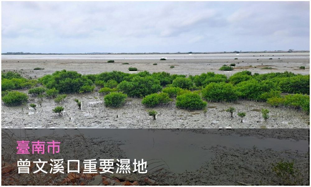 曾文溪口重要濕地照片(點選開啟介紹網頁)
