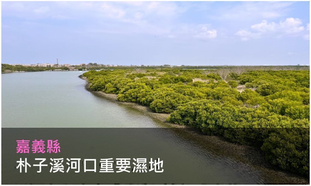 朴子溪河口重要濕地照片(點選開啟說明網頁)