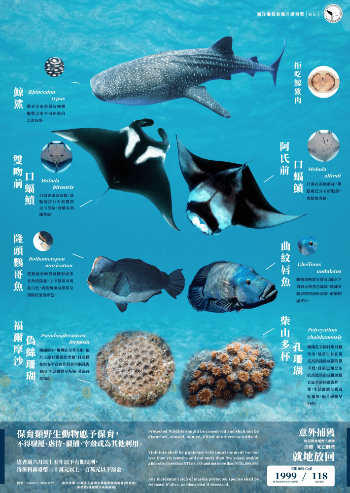 海保署海報