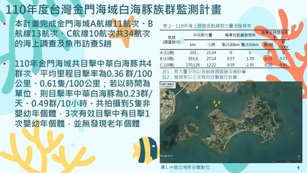 海生-官網模版-110年度台灣金門海域白海豚族群監測計畫