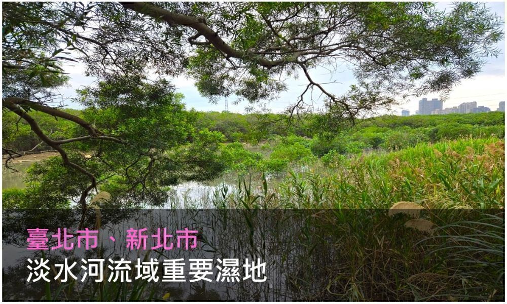 淡水河流域重要濕地照片(點選開啟說明網頁)