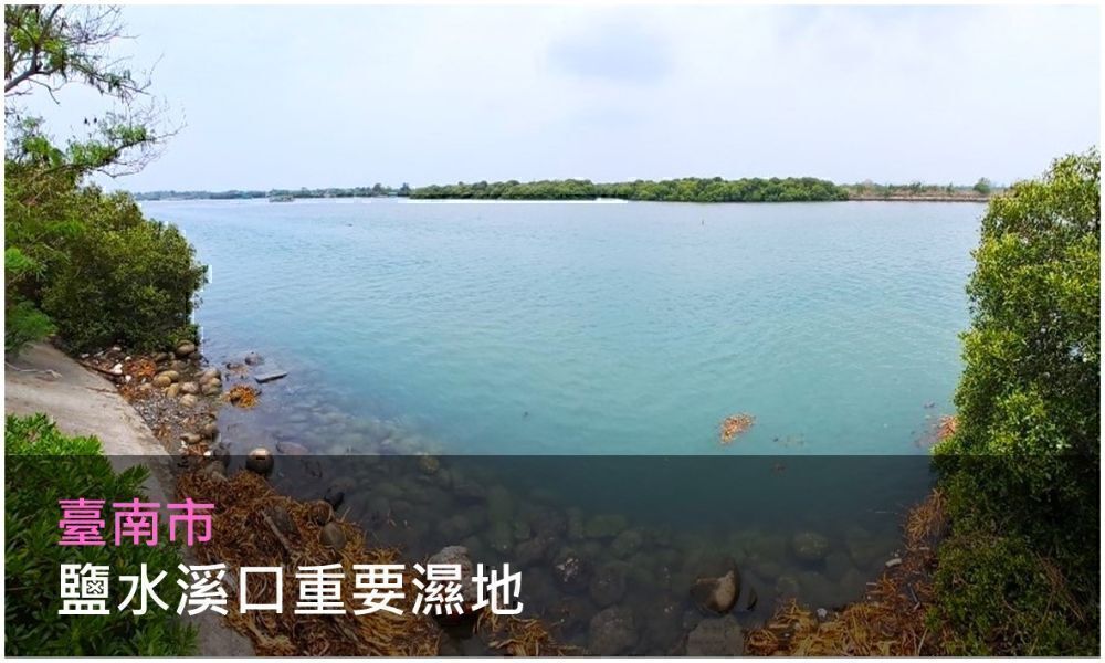 鹽水溪口重要濕地照片(點選開啟說明網頁)