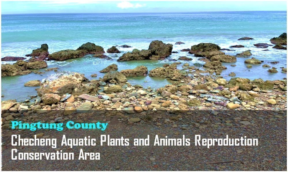 10_Pingtung County_Checheng Aquatic Plants and Animals Reproduction Conservation Area