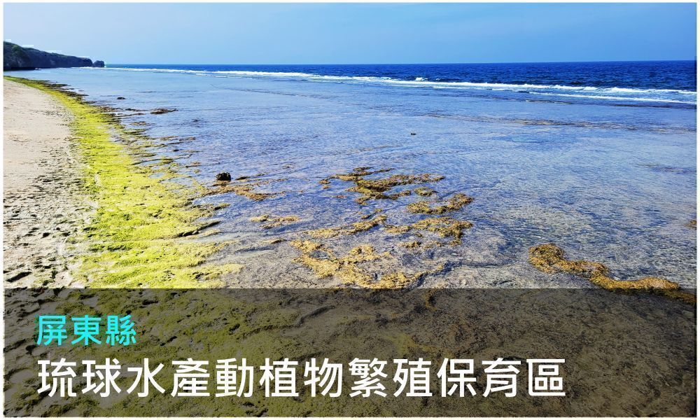 屏東縣琉球水產動植物繁殖保育區照片