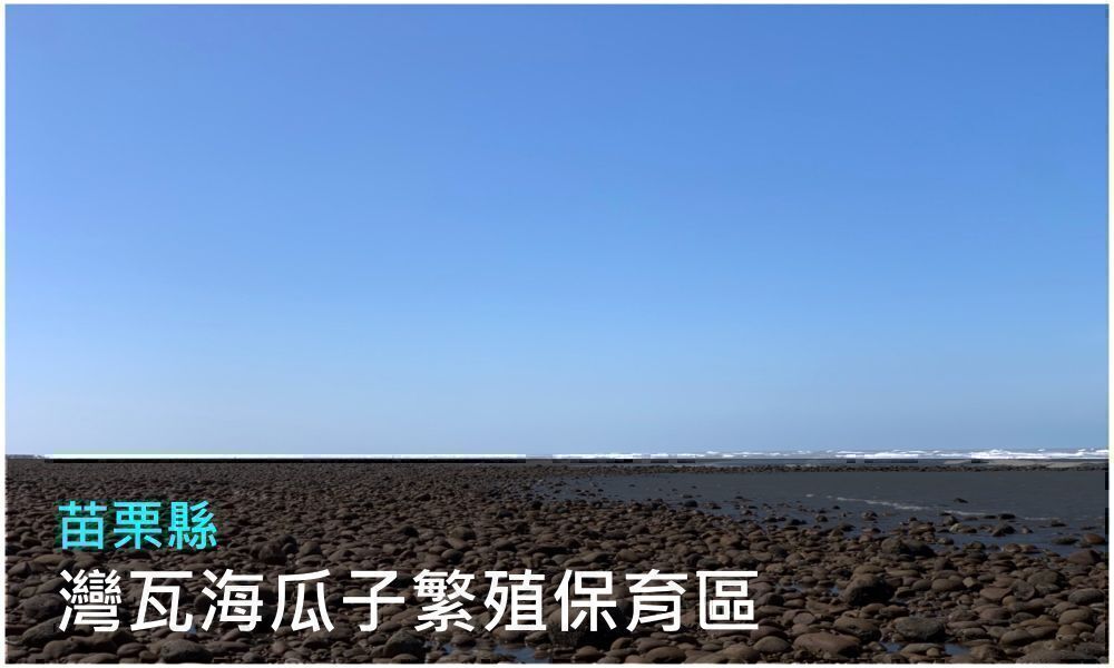 苗栗縣灣瓦海瓜子繁殖保育區照片(點選開啟介紹網頁)