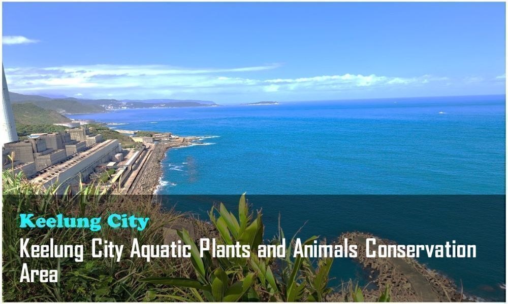 14_Keelung City_Keelung City Aquatic Plants and Animals Conservation Area