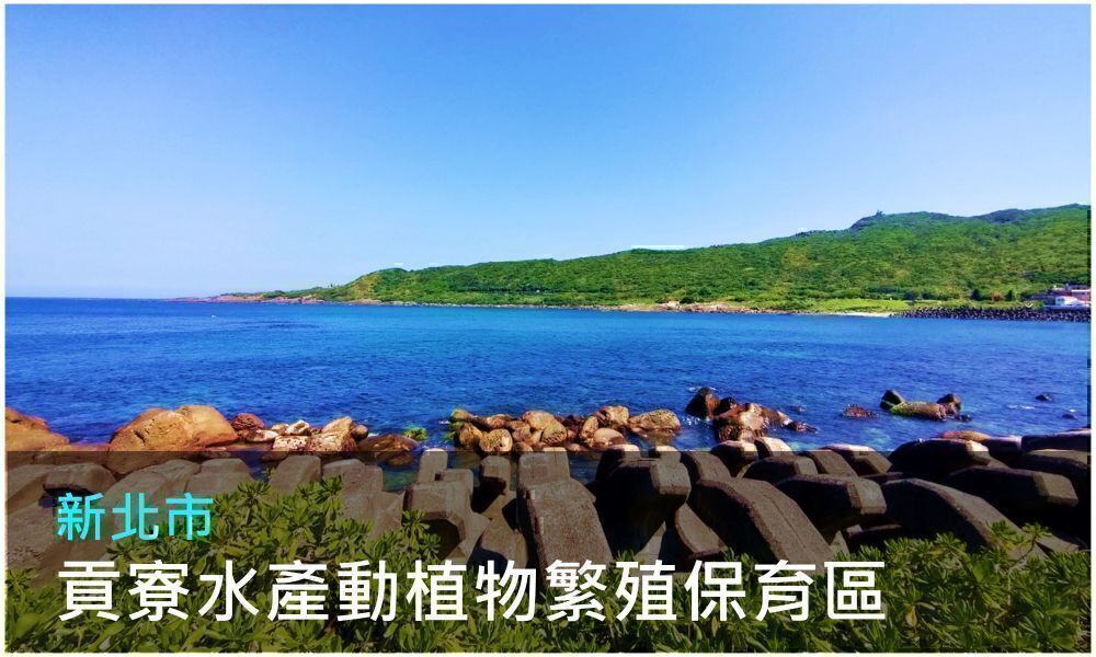 新北市貢寮水產動植物繁殖保育區照片(點選開啟介紹網頁)