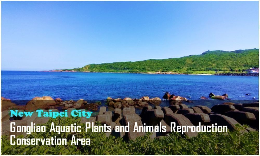 16_New Taipei City_Gongliao Aquatic Plants and Animals Reproduction Conservation Area