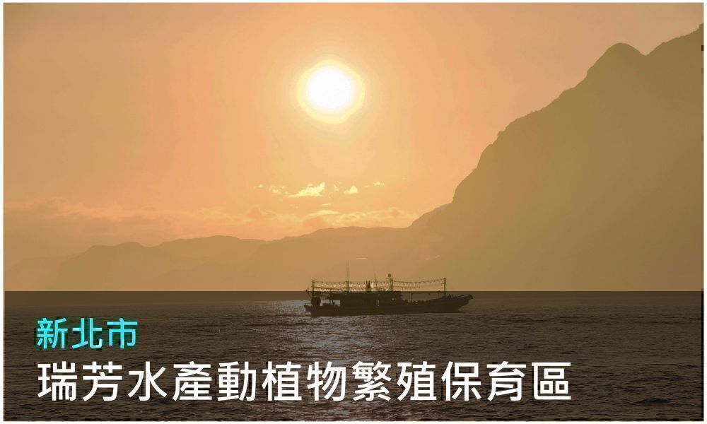 新北市瑞芳水產動植物繁殖保育區照片(點選開啟介紹網頁)