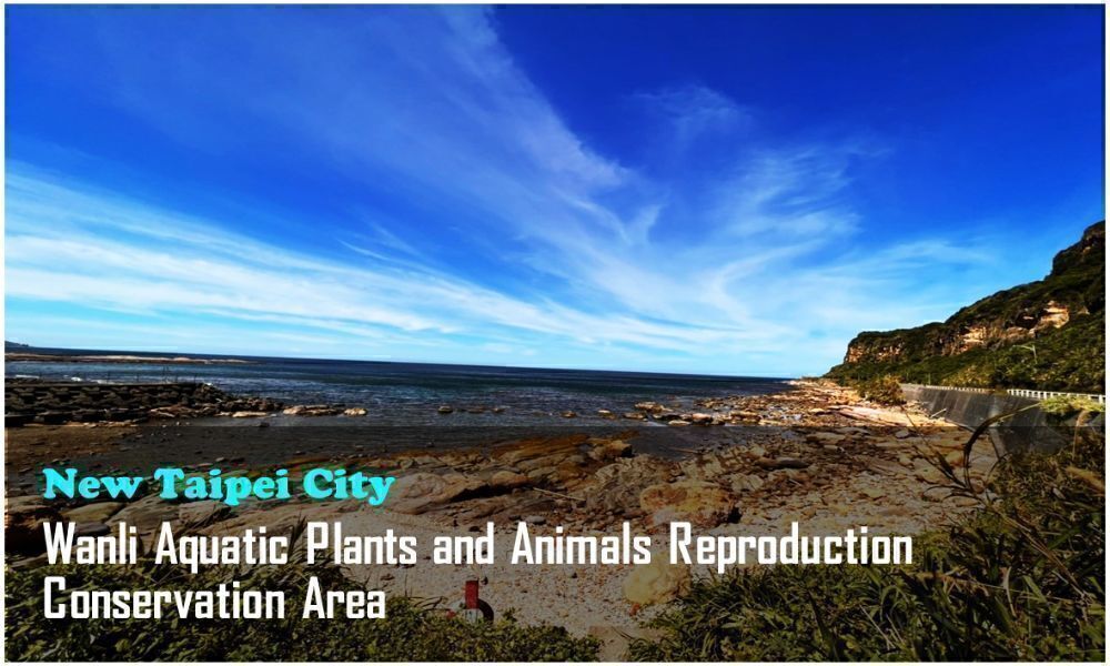 18_New Taipei City_Wanli Aquatic Plants and Animals Reproduction Conservation Area