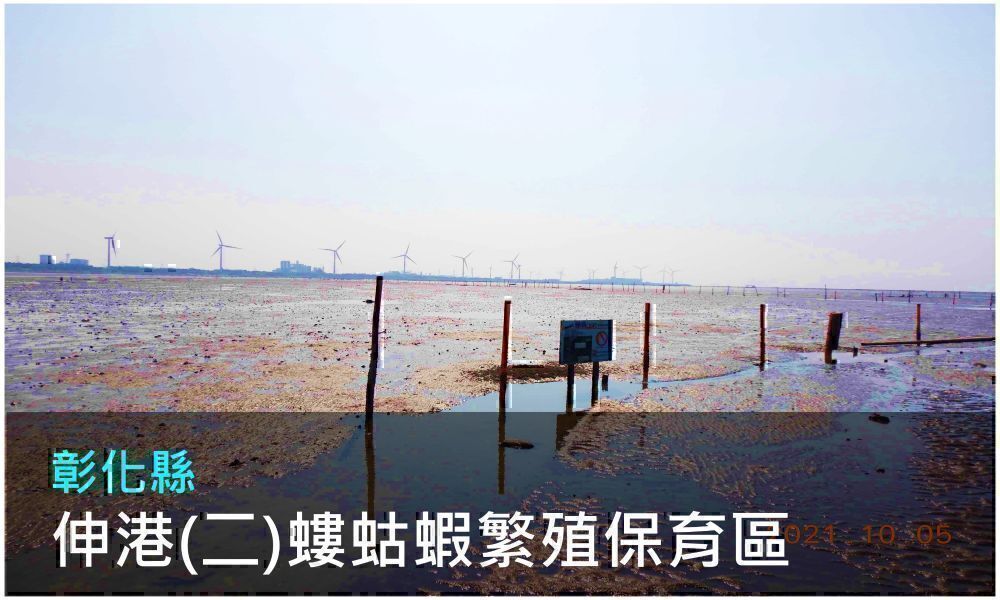 彰化縣伸港(二)螻蛄蝦繁殖保育區照片(點選開啟介紹網頁)