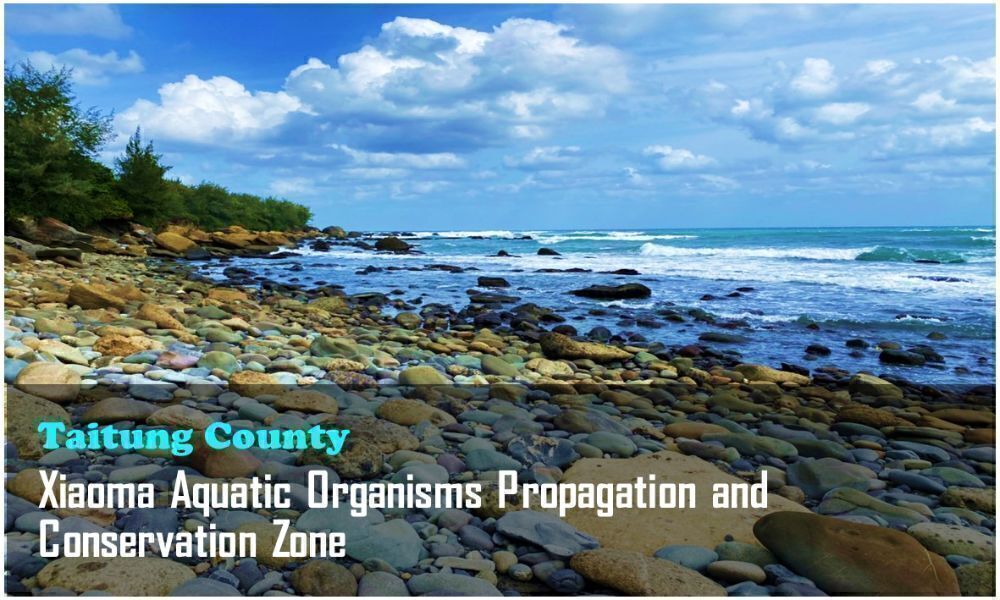 22_Taitung County_Xiaoma Aquatic Organisms Propagation and Conservation Zone