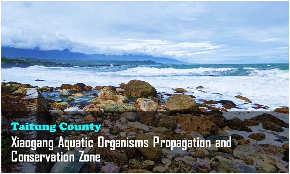 23_Taitung County_Xiaogang Aquatic Organisms Propagation and Conservation Zone