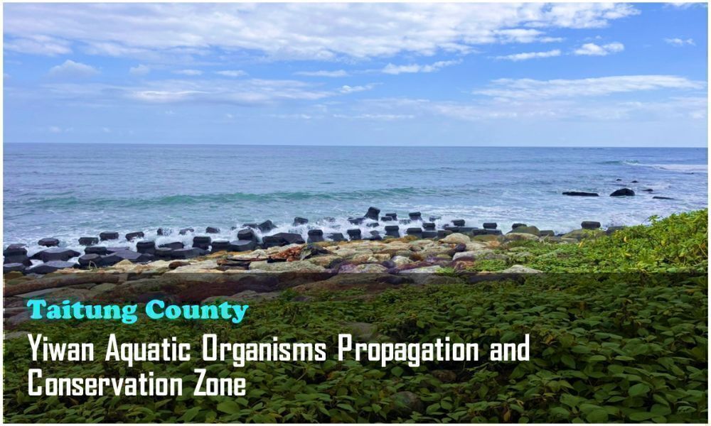 24_Taitung County_Yiwan Aquatic Organisms Propagation and Conservation Zone