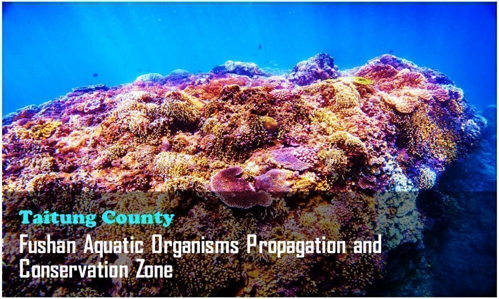 25_Taitung County_Fushan Aquatic Organisms Propagation and Conservation Zone