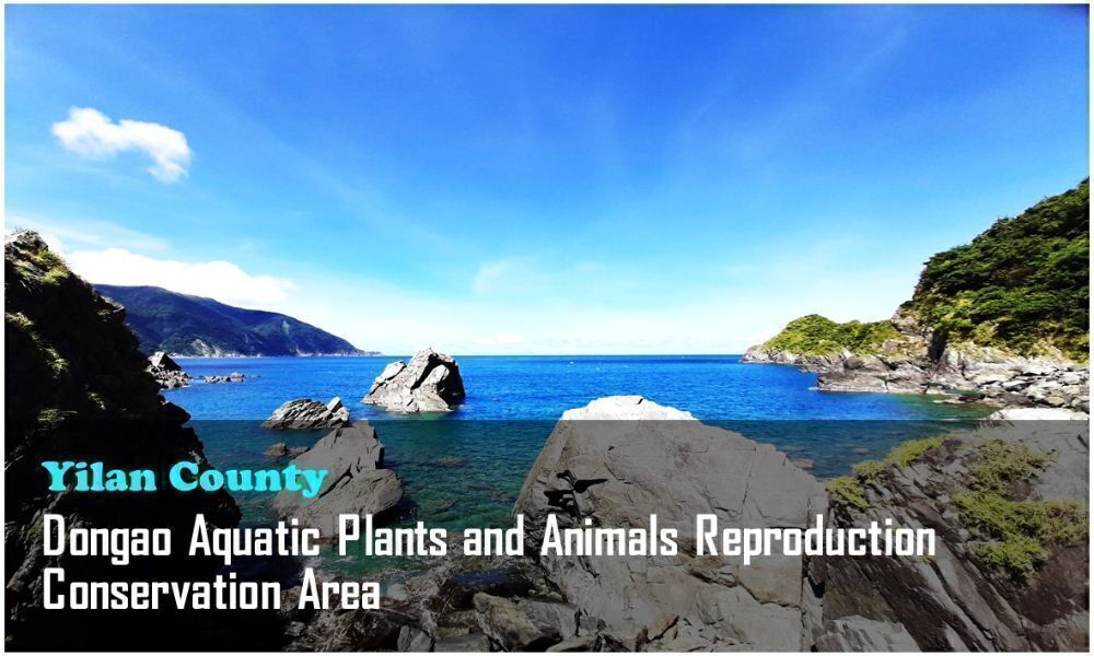 30_Yilan County_Dongao Aquatic Plants and Animals Reproduction Conservation Area