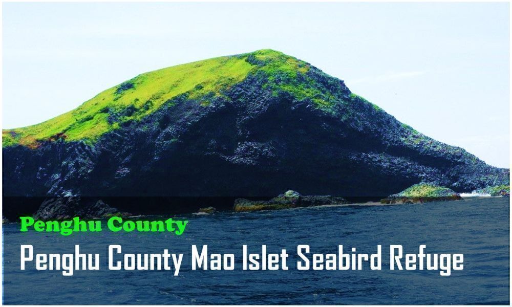 35_Penghu County_Penghu County Mao Islet Seabird Refuge