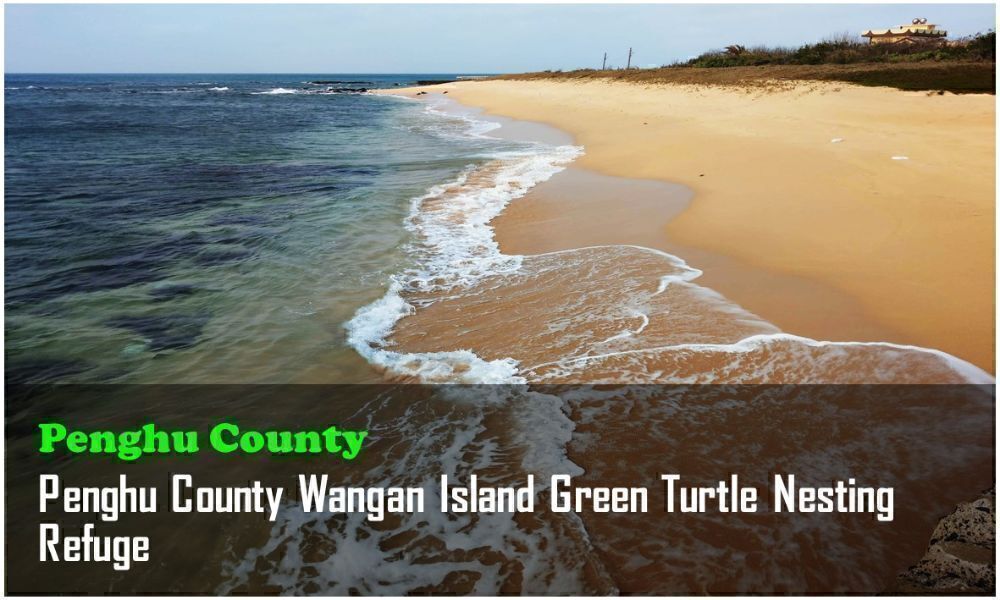 37_Penghu County_Penghu County Wangan Island Green Turtle Nesting Refuge