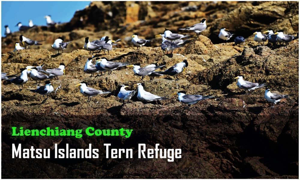 38_Lienchiang County_Matsu Islands Tern Refuge