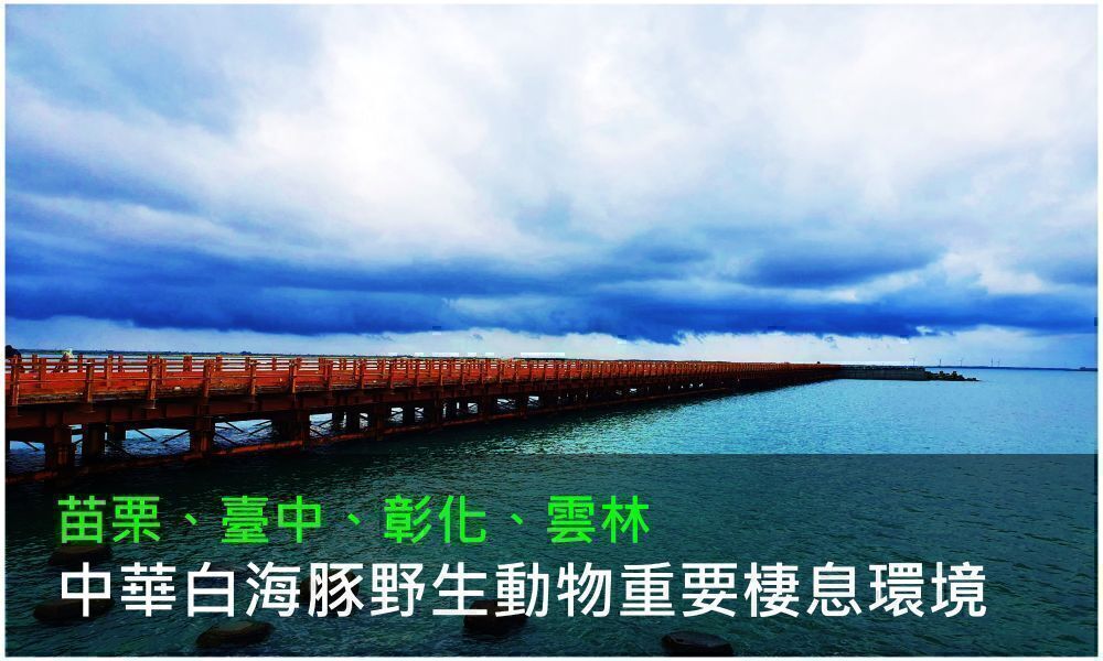 苗栗、臺中、彰化、雲林之中華白海豚野生動物重要棲息環境照片(點選開啟介紹網頁)