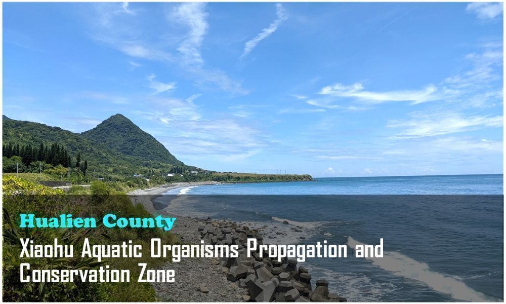 3_Hualien County_Xiaohu Aquatic Organisms Propagation and Conservation Zone