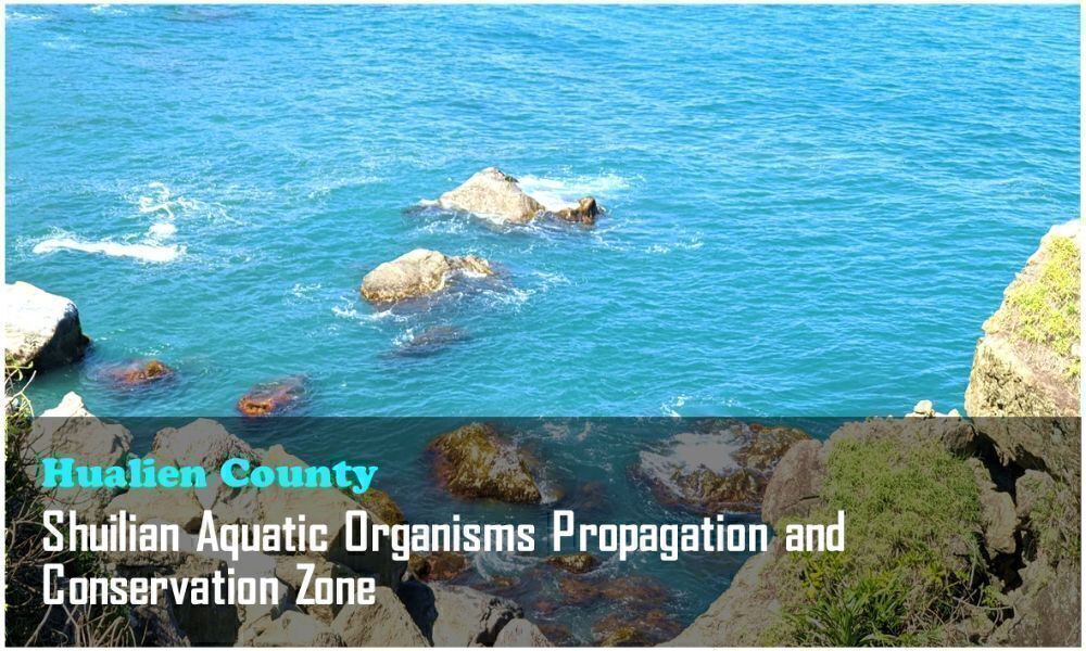 4_Hualien County_Shuilian Aquatic Organisms Propagation and Conservation Zone