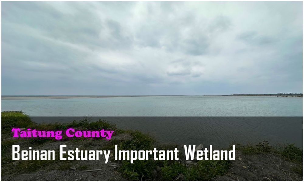 50_Taitung County_Beinan Estuary Important Wetland