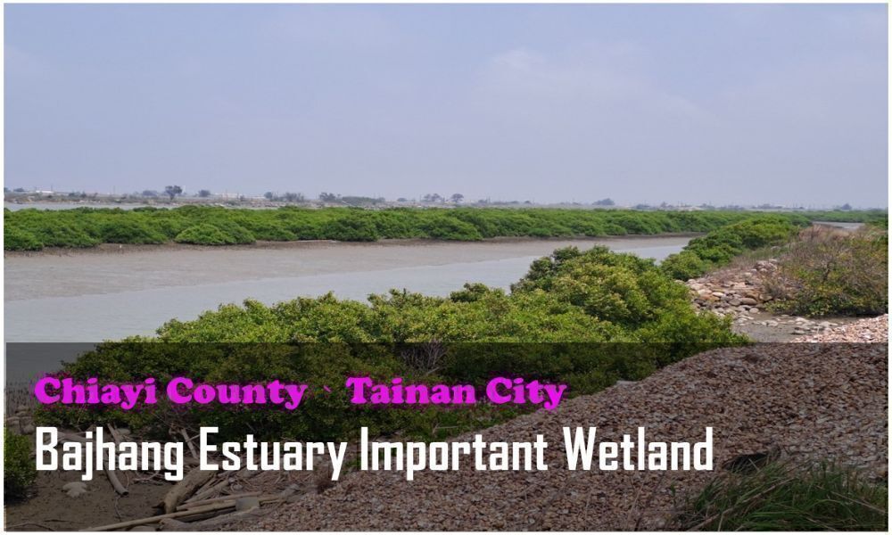 53_Chiayi County、Tainan City_Bajhang Estuary Important Wetland