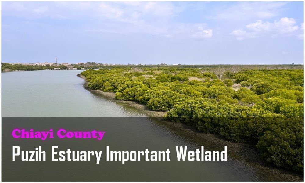 55_Chiayi County_Puzih Estuary Important Wetland