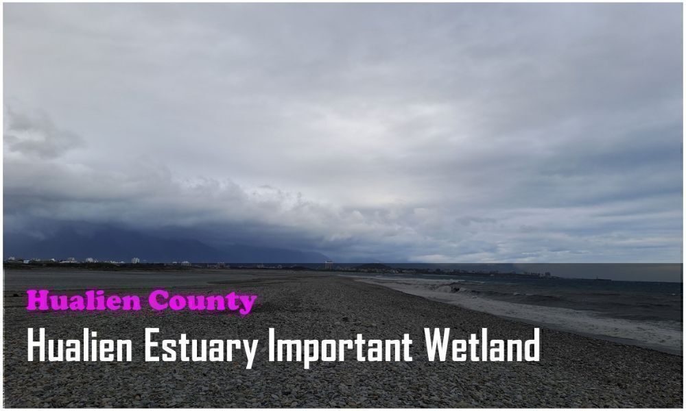 57_Hualien County_Hualien Estuary Important Wetland