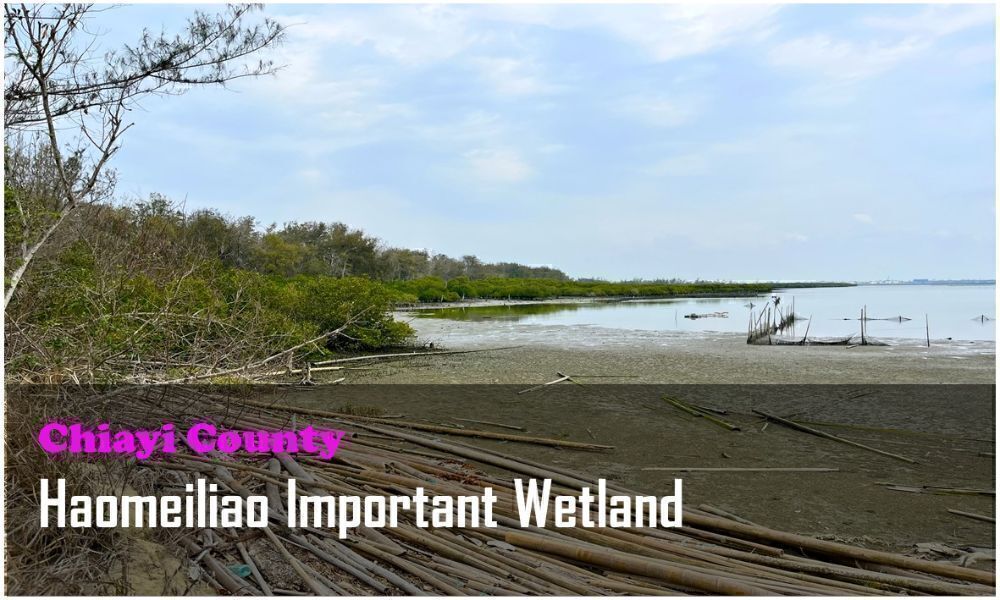 58_Chiayi County_Haomeiliao Important Wetland