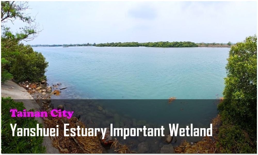 59_Tainan City_Yanshuei Estuary Important Wetland