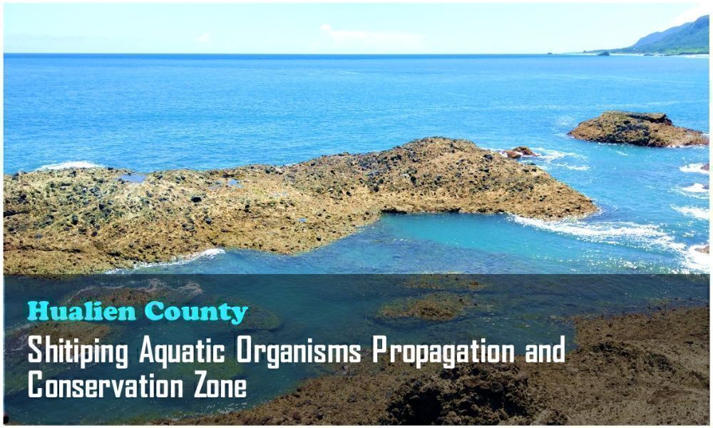 5_Hualien County_Shitiping Aquatic Organisms Propagation and Conservation Zone