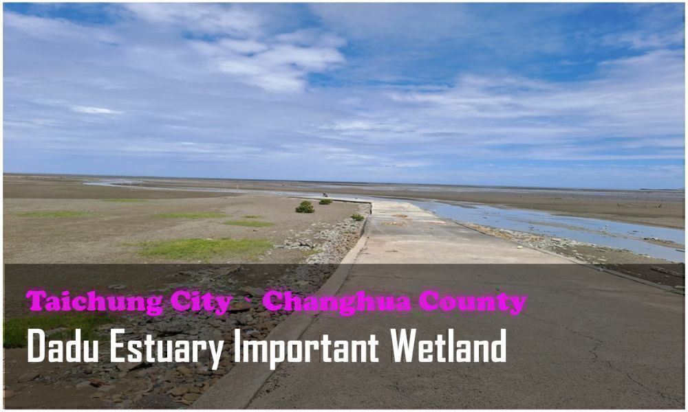 60_Taichung City、Changhua County_Dadu Estuary Important Wetland