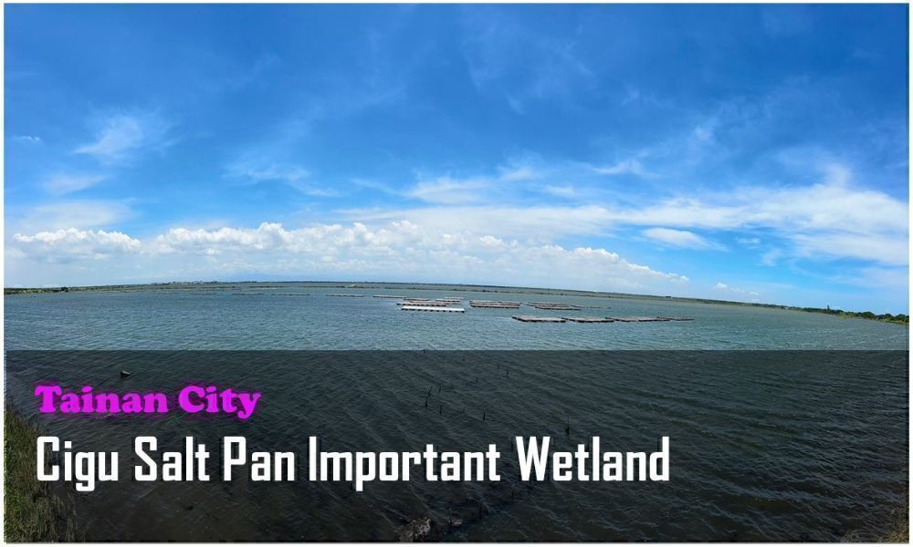 61_Tainan City_Cigu Salt Pan Important Wetland