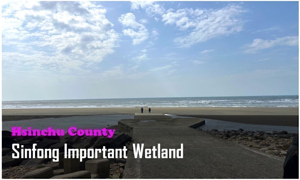 63_Hsinchu County_Sinfong Important Wetland