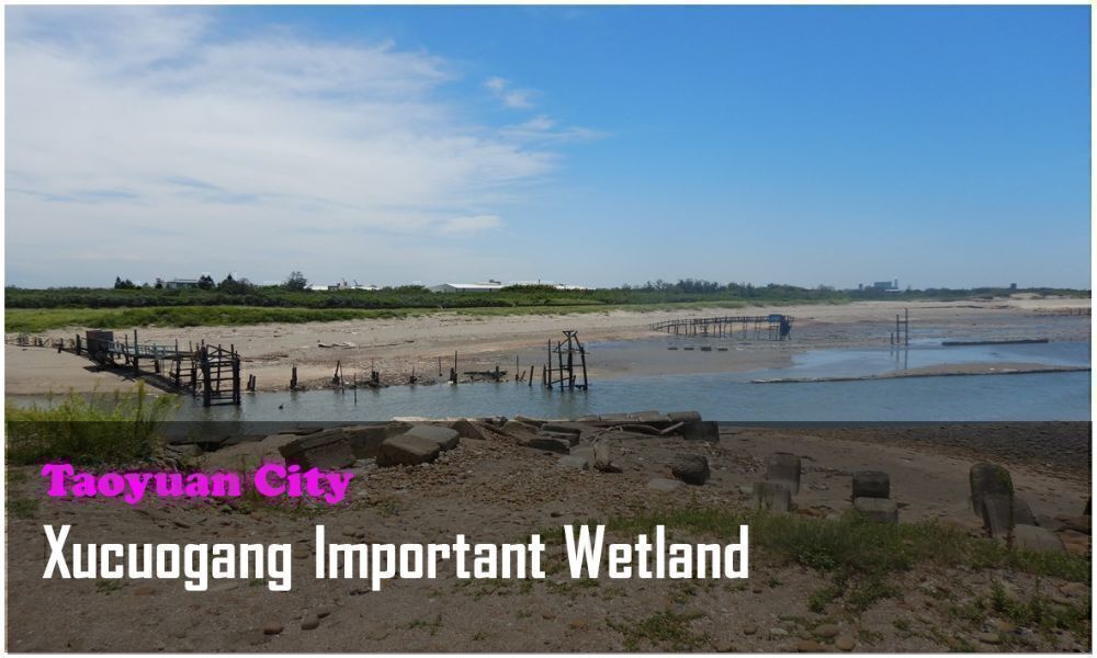 67_Taoyuan City_Xucuogang Important Wetland