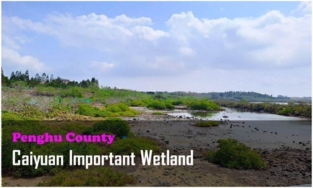 68_Penghu County_Caiyuan Important Wetland