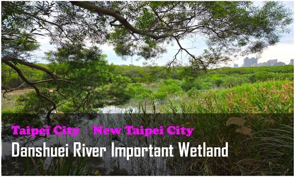 70_Taipei City、New Taipei City_Danshuei River Important Wetland