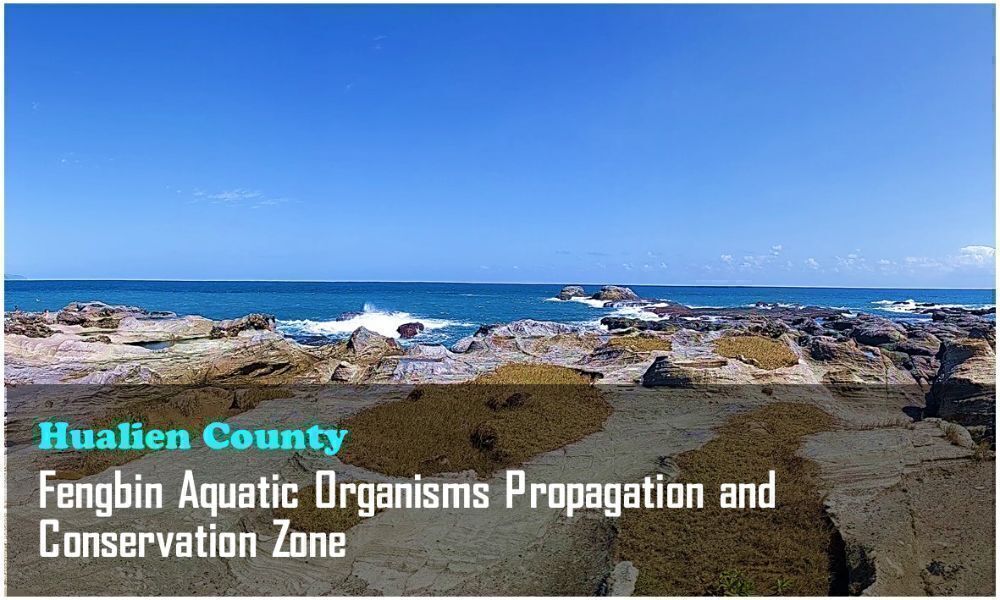 7_Hualien County_Fengbin Aquatic Organisms Propagation and Conservation Zone