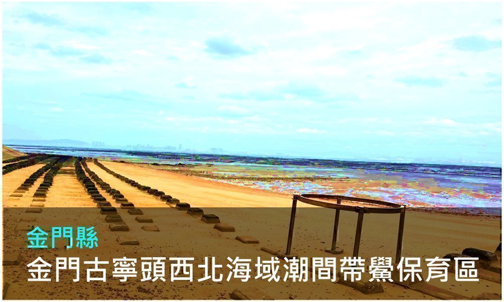 金門縣金門古寧頭西北海域潮間帶鱟保育區照片