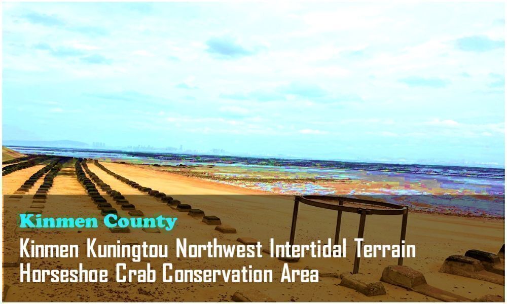 9_Kinmen County_Kinmen Kuningtou Northwest Intertidal Terrain Horseshoe Crab Conservation Area