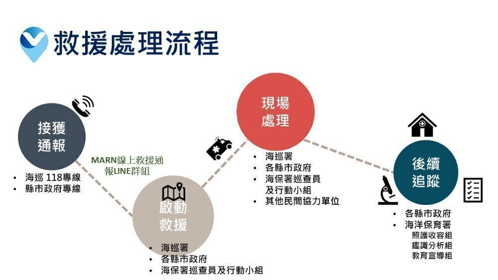 海洋保育類野生動物救援通報案件處理流程